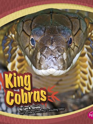 cover image of King Cobras